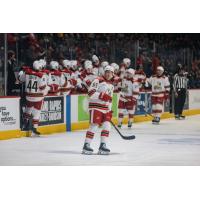 Grand Rapids Griffins right wing Dominik Shine