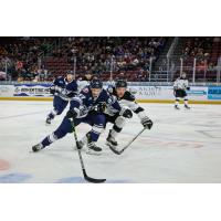 Worcester Railers forward Matt DeMelis reaches for the puck