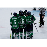 Florida Everblades celebrate a goal