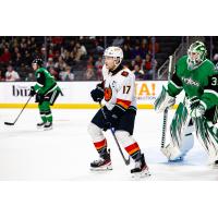 Texas Stars goaltender Magnus Hellberg stands ready against the Coachella Valley Firebirds