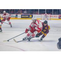 Grand Rapids Griffins' Nate Danielson battles Chicago Wolves' Skyler Brind'Amour