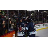 South Carolina Stingrays on game night