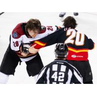 Tucson Roadrunners center Curtis Douglas (left) in a fight