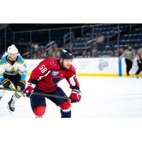 South Carolina Stingrays defenseman Andrew Perrott