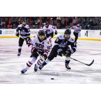 Rapid City Rush forward Maurizio Colella (left) vs. the Wichita Thunder