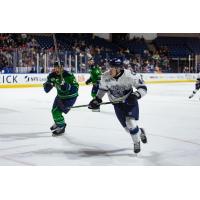 Worcester Railers forward Anthony Callin (right) vs. the Maine Mariners