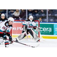 Kelowna Rockets goaltender Rhett Stoesser