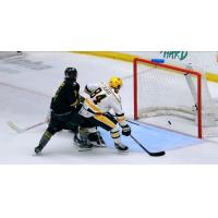 Atley Calvert of the Wheeling Nailers scores against the Iowa Heartlanders