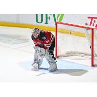 Tucson Roadrunners goaltender Matthew Villalta