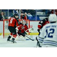 Vancouver Giants' Colton Roberts and Burke Hood in action