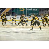 Wheeling Nailers battle the Norfolk Admirals