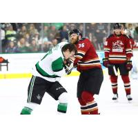 Texas Stars' Jack Becke battles Tucson Roadrunners' Cameron Hebig